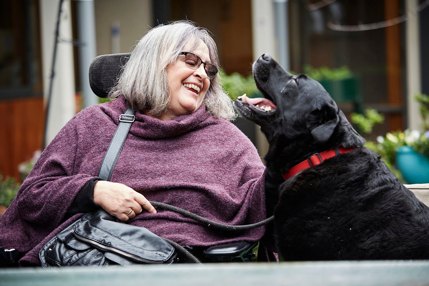 A person using a wheelchair enjoys time outdoors in the community while interacting with their dog.