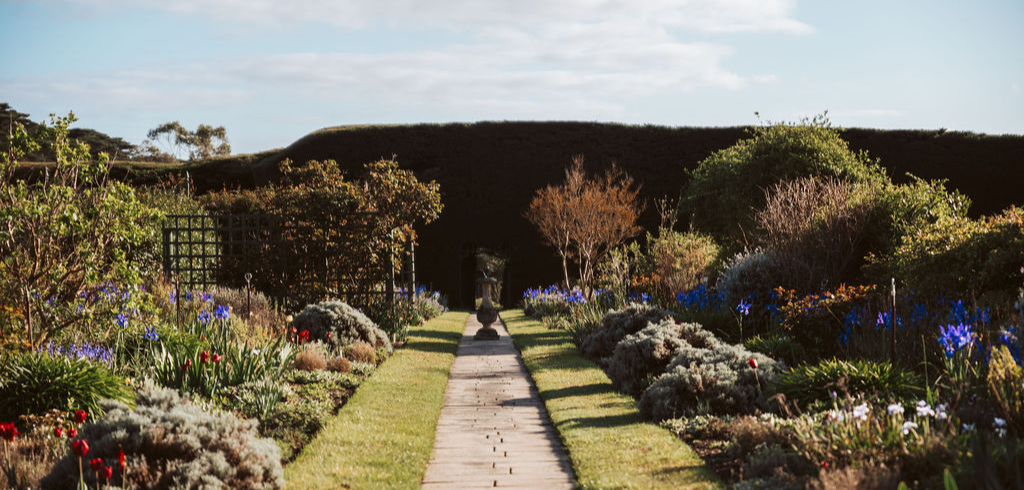 Garden tour and Devonshire tea (Coldstream) 