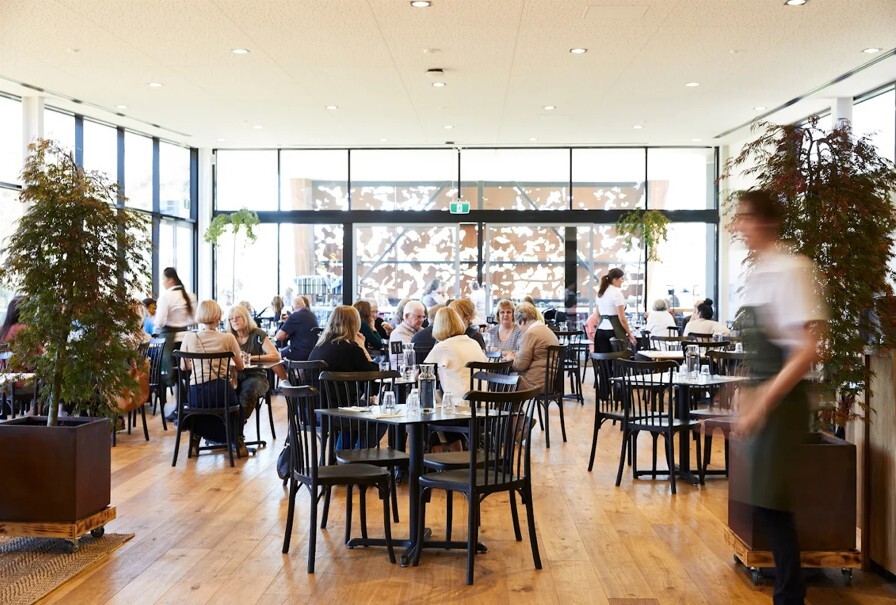 Stella’s Kitchen lunch (Lysterfield) 