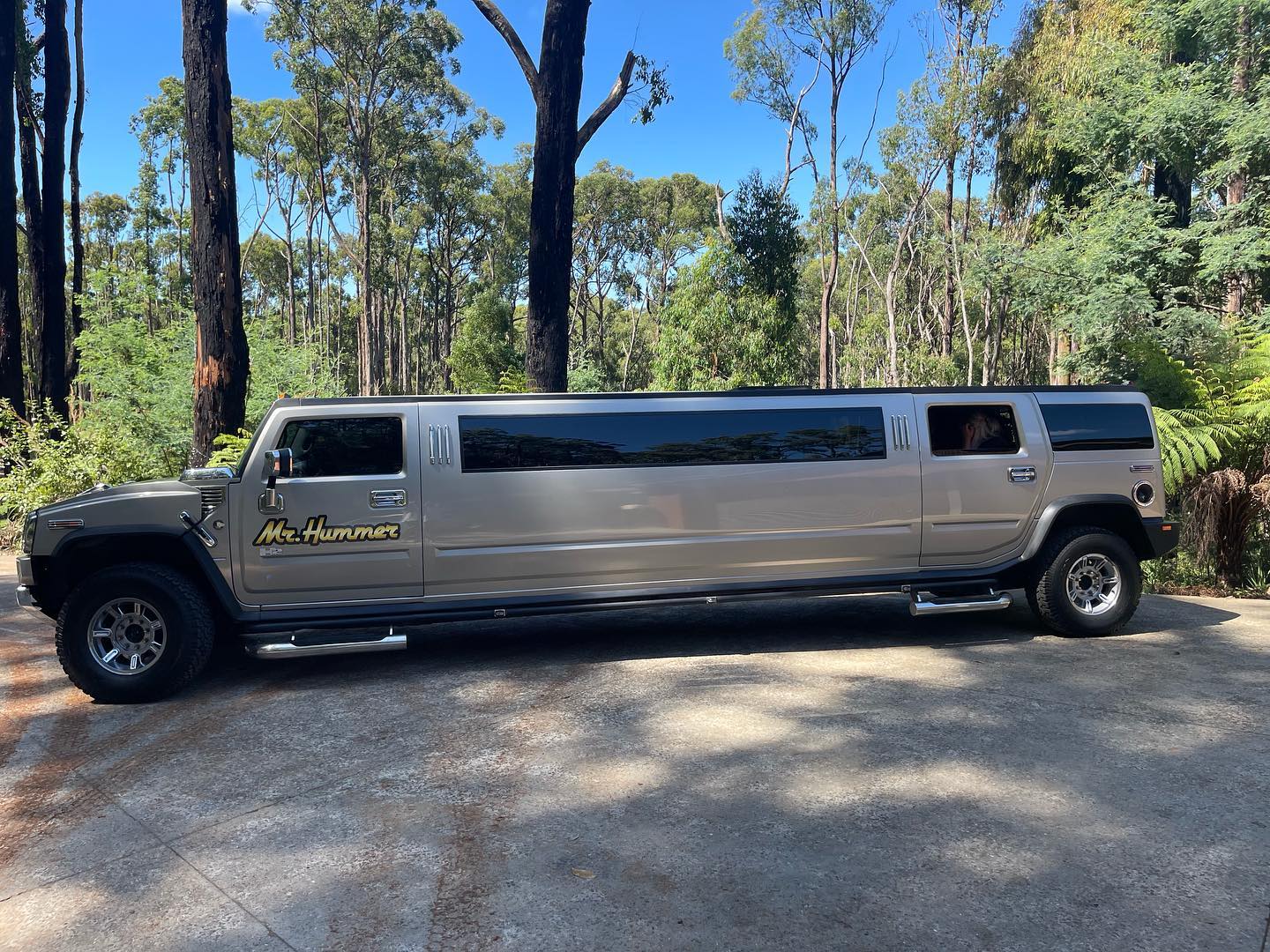 Carers Week: Living it up stretch limousine style (Wantirna South)